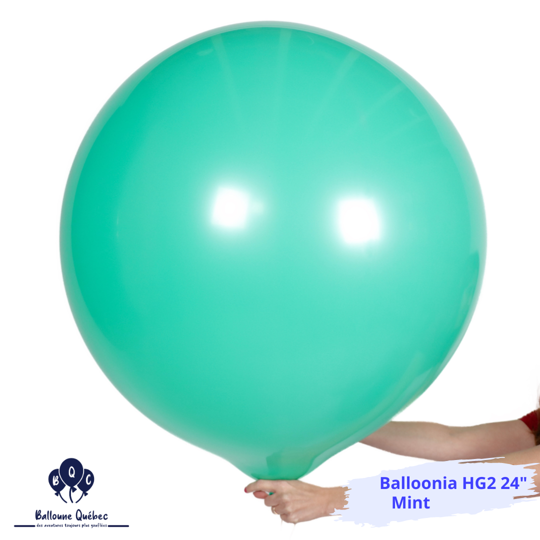 Balloonia 24" Standard Ballon