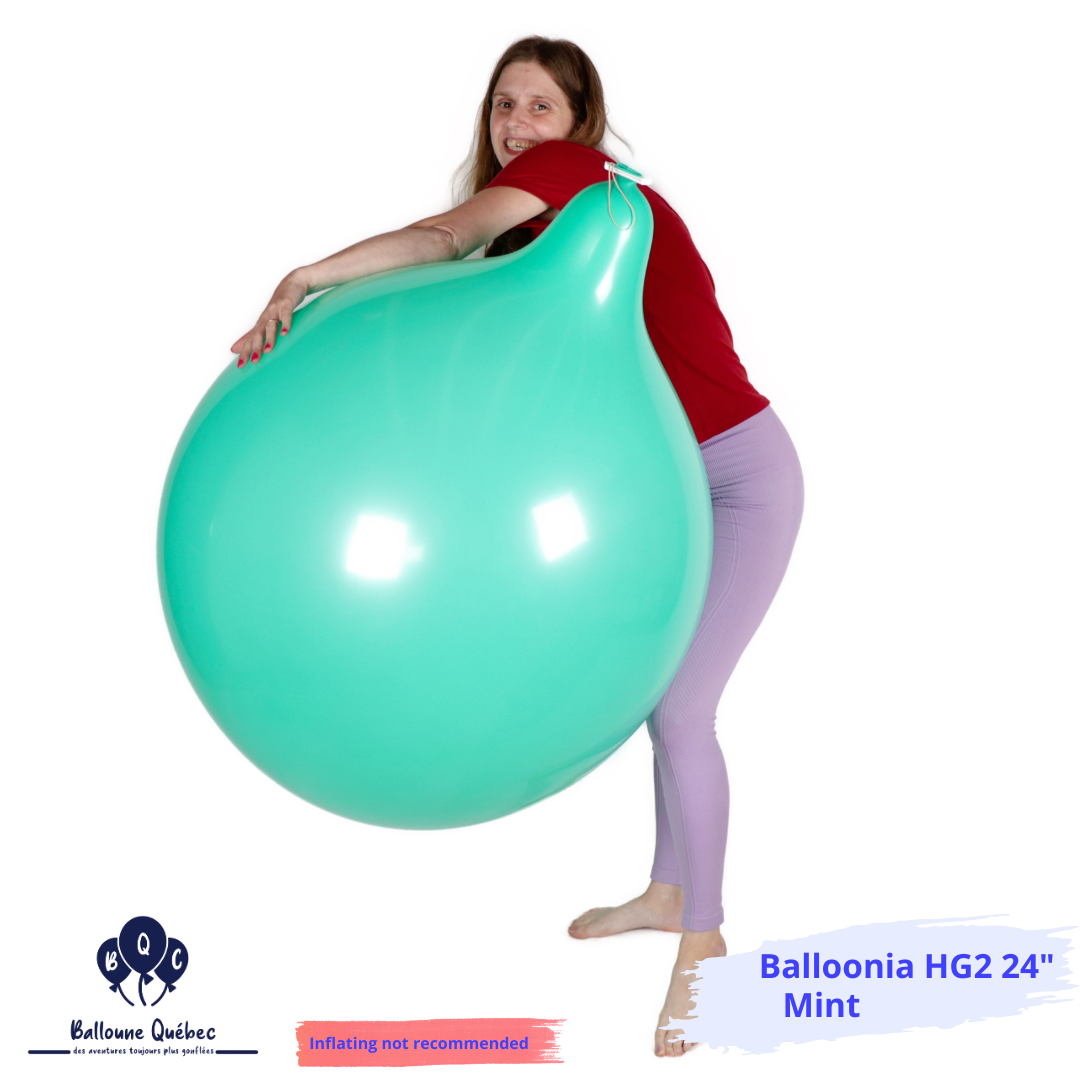 Balloonia 24" Standard Ballon