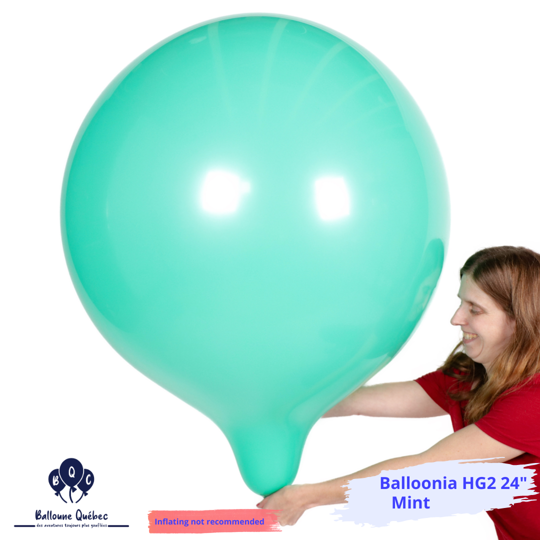 Balloonia 24" Standard Ballon