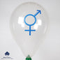 Cattex 18" Bigender Balloon