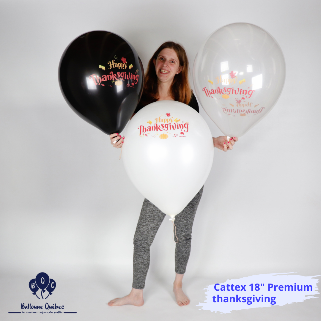 Cattex 18" Thanksgiving Premium 20 PCS Balloons