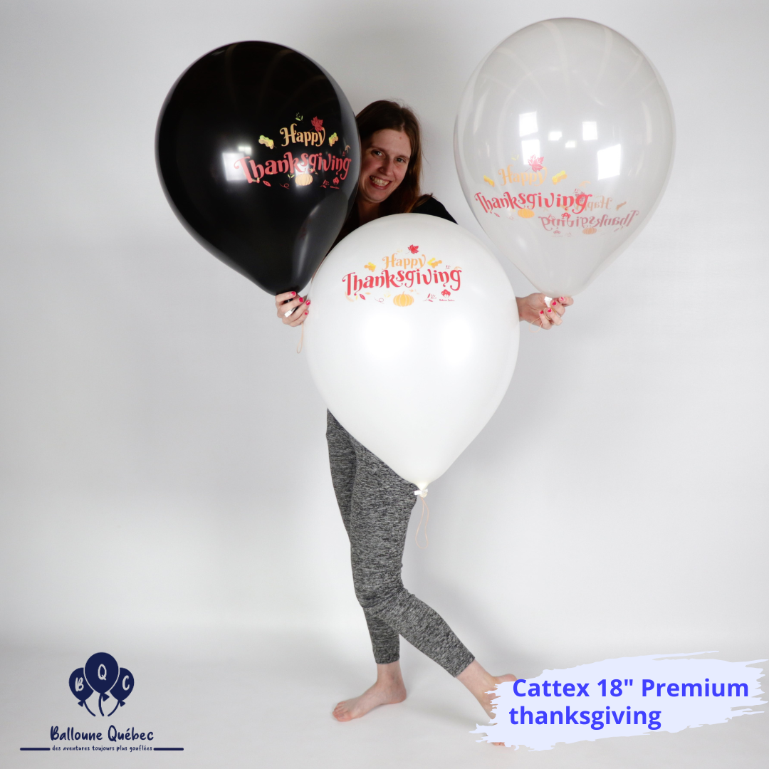 Cattex 18" "Thanksgiving" Premium 20 PCS Ballons