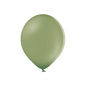 Belbal 12" Rosemary Green Pastel 50 PCS Balloons